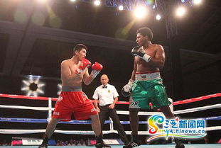 2015世界拳擊聯賽三亞落幕 中國龍不敵墨西哥勇士，拳擊賽事組織迎發展契機