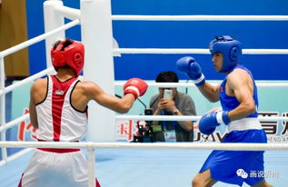 忻州圓滿承辦青運會拳擊賽事 展現(xiàn)拳擊運動組織新風貌