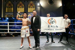 拳擊運(yùn)動賽事組織 從策劃到執(zhí)行的全方位指南